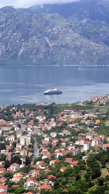 5d41f94a-cfc1-41fd-8b7d-be274fda98fb.jpg 5d41f94a-cfc1-41fd-8b7d-be274fda98fb.jpg